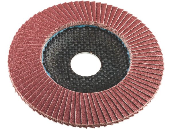 ROTARY FLAP DISC 115mm GR.80 LUX 101993 - Image 2