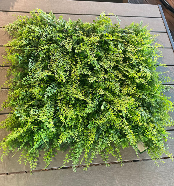 WALL GRASS OUTDOOR FERN JUNIPERUS 50 X 50cm TILE EM-42881