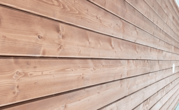 TONGUE & GROOVE PINE WOOD PANELS